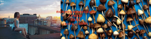 альфа пвп VHQ Михайлов