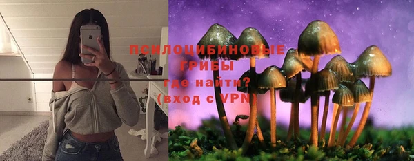 Альфа ПВП Алагир