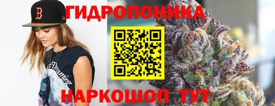 дурь Кандалакша