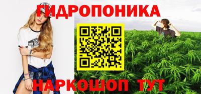 мдпв Канаш